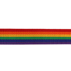 Disposizione della tessitura del poliestere della banda dell'arcobaleno T008