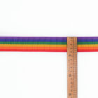 Disposizione Colourful della tessitura dell'arcobaleno del poliestere per il guinzaglio dell'animale domestico